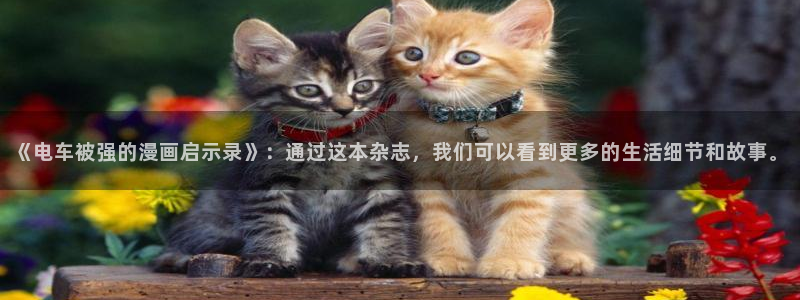 男女羞羞漫画无遮挡：《电车被强的漫画启示录》：通过这本杂志，我们可以看到更多的生活细节和故事。