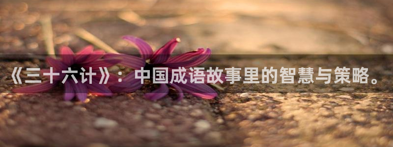 羞羞漫画.sss：《三十六计》：中国成语故事里的智慧与策略。