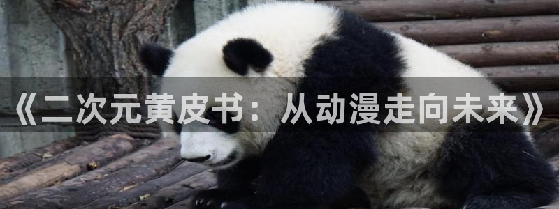 羞羞漫画在线阅读.：《二次元黄皮书：从动漫走向未来》