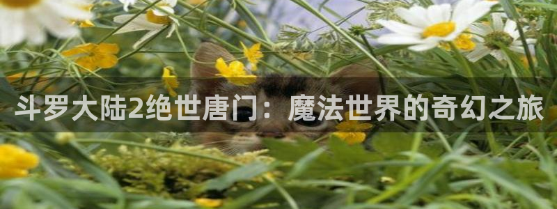 羞羞漫画——：斗罗大陆2绝世唐门：魔法世界的奇幻之旅